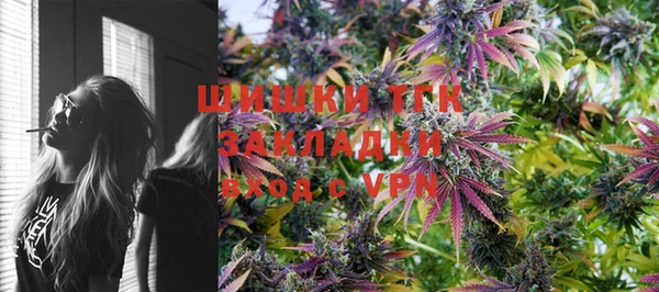 гидра Михайловка