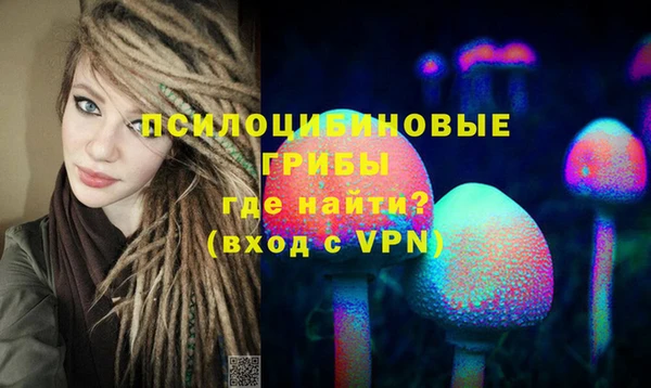 бошки Медвежьегорск