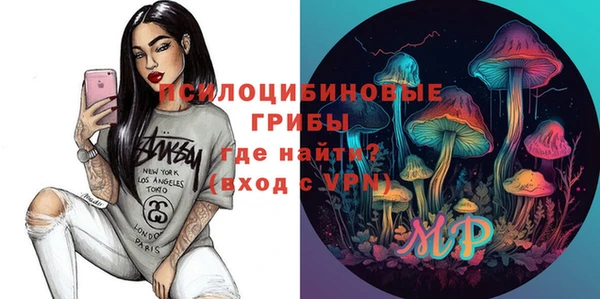 гидра Михайловка