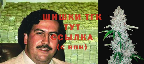 apvp Медногорск