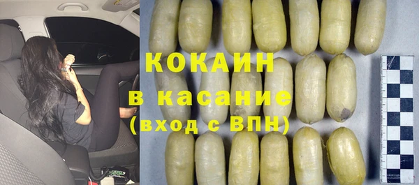 гидра Михайловка