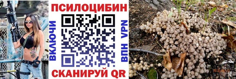 Псилоцибиновые грибы Cubensis  Миасс 