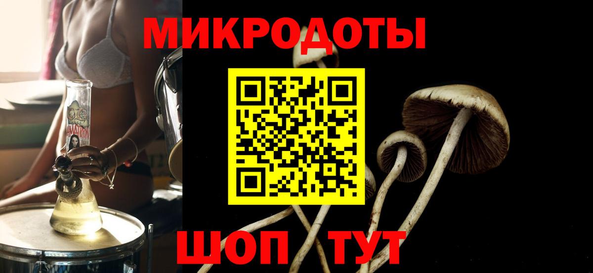 Псилоцибиновые грибы GOLDEN TEACHER Миасс